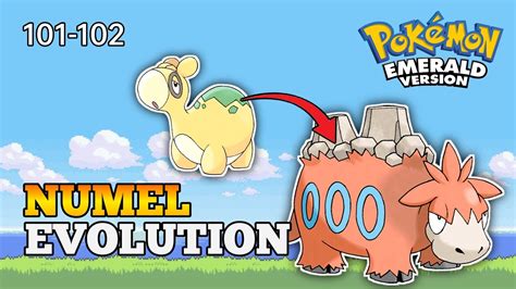 how to evolve numel.